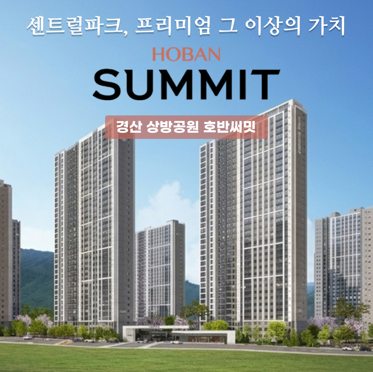 모메-1